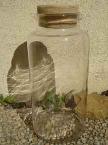 bocal  en verre  avec  bouchon  bois