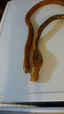 Serpents en bois articulés
