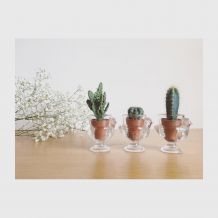 Coquetiers poule Luminarc 