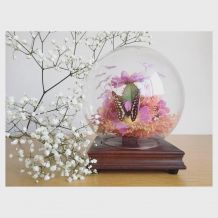 Globe fleurs tissus et papillon