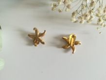 Boucle d'oreille étoile de mer
