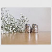 Salière/poivrier hiboux 