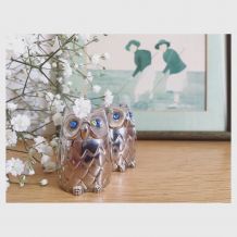 Salière/poivrier hiboux 