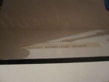 Papillon Blumei Iles Celebes encadré