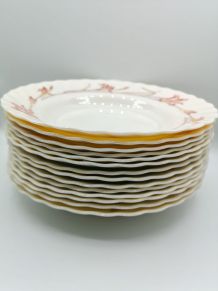 Lot de 14 assiettes creuses arcopal