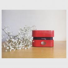 Balance Terraillon 4000