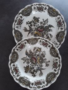 Lot de 2 assiettes Porcelaine Ridgway Staffordshire Windsor