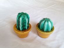 Paire salière-poivrière "cactus" barbotine