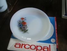 6  Assiettes à dessert Arcopal Neuves années 60
