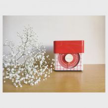 Balance Terraillon motif « torchon »