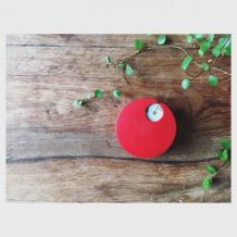 Minuteur Terraillon Richard Sapper