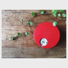 Minuteur Terraillon Richard Sapper