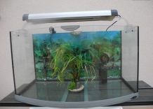 Aquarium 140L/84cmGalbéVision2Néon+filtre+chauffage