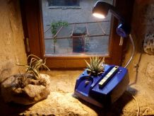 Lampe téléphone et plante verte/lampe de table/lampe à poser