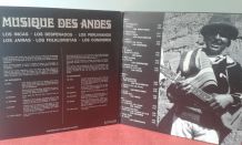 Vinyle 33T: Musique des Andes.