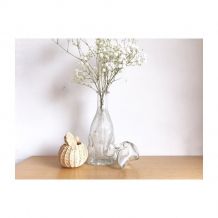 Bouteille italienne tête de chien 