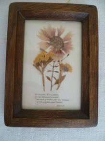 Cadre Fleurs séchées façon herbier vintage Bretagne