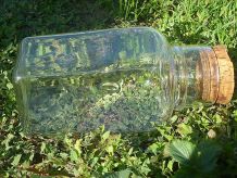 grand  bocal carré  en verre bullé ,  vintage