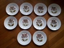 10 assiettes Saint Amand modèle CAPRI