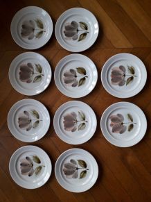 10 assiettes Saint Amand modèle CAPRI