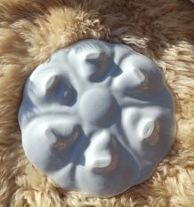 Assiettes à huitres