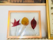 Herbier feuille d’automne 