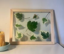 Herbier Green &amp;amp; white 