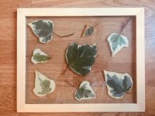 Herbier Green &amp;amp; white 