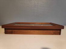 cadre rectangulaire 5 papillons naturalisés