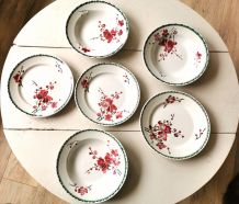 Lot 6 assiettes anciennes 