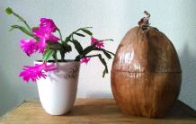 Bac à glaçons en noix de coco véritable-Artisanat 