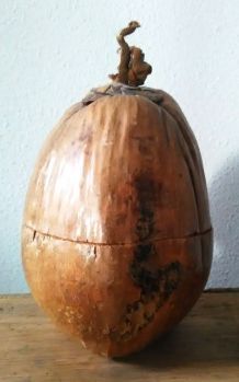 Bac à glaçons en noix de coco véritable-Artisanat 