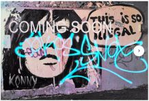 Grande toile street art graffiti 81x122 cm "So Illegal"