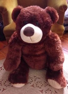 Grand ours en peluche