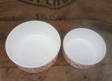 Deux saladiers Arcopal - Collection Scania - Années 70