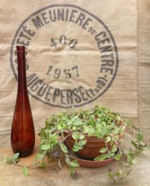 Jolie bouteille en verre ambré 