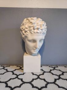 grand buste d'Appollon en plâtre