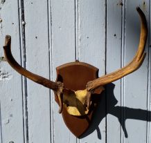 Massacre de cerf sur écusson