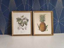 cadres lithographies fruits cadre doré