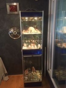 VITRINE AVEC ECLAIRAGE