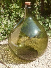 dame  jeanne ,  vintage