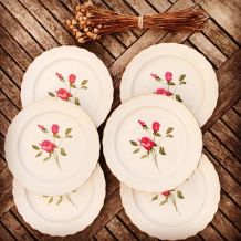 Série de 6 assiettes vintage en porcelaine 