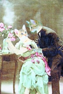 Chats amoureux  retros 1900. Photomontage. 