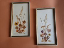 Cadres fleurs séchées 