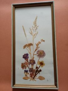 Cadres fleurs séchées 