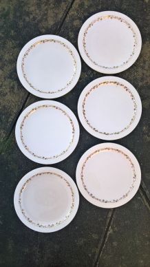 Six assiettes LONGWY "Betty"