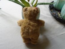 Poupon ours Anne Geddes