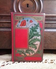 Livre ancien : " Les aventures de Jean-marie Potachou" 1895