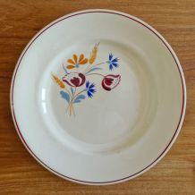 Lot 6 assiettes anciennes Salins France