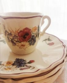 Service à café Sarreguemines Agreste